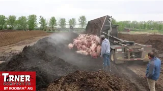 Composting 107 Hogs