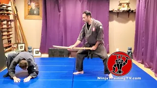 Shunu (Brave like a Hawk, Falcon Excellence), Gyokko Ryu Koshijutsu