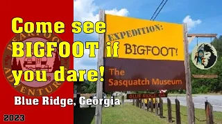 Georgia Road Trip | Bigfoot Museum | Roadside Attractions