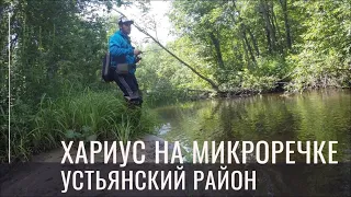 Хариус на микроречке  Устьянский район