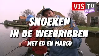 VIS TV Extra #42 - Snoek in de Weerribben