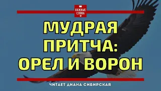 🔴Мудрая притча "Орел и ворон". #ВажныеСлова, #Мудро,  #Ожизни #Задумайся  #Мотивация #ДианаСибирская