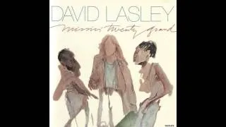 David Lasley - Take The Money And Run (1982)