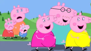 Daddy Pig Betrays Mummy Pig To Follow His New Lover? | Peppa Pig Funny Animation