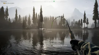 GAVE UP TRYING TO CATCH THE ADMIRAL -  FAR CRY 5