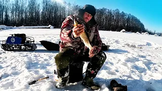 Зимняя рыбалка в тайге. Лютая рыбалка на ленка в Сибири. Ловля ленка и налима зимой.