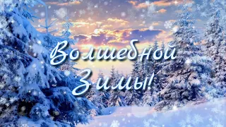 С ПЕРВЫМ ДНЕМ ЗИМЫ!❄ #видеопожелания #пожелания