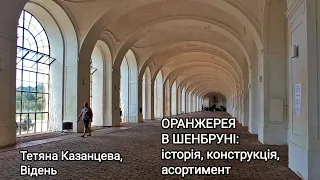 Оранжерея в Шенбруні: історія, конструкція, асортимент