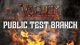 How to Access The Valheim Public Test Branch on Steam