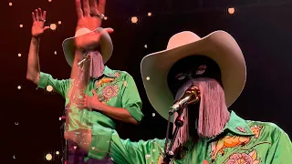 Orville Peck - No Glory in the West (Live)