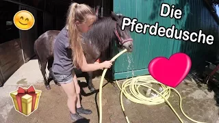 Wellness für Pferde! | Smartys Geburtstag ♥ | Marina und die Ponys