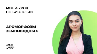 НШ | Биология. Ароморфозы земноводных