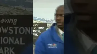Reporter is scared by a herd of bison ( or Buffalo) #shorts
