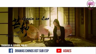 《芒种》Grain in Ear Official MV -音阙诗听 (feat. 赵方婧) Zhao Fangjing【Sub Español】