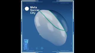 Fan Capsule - Meta Soccer City