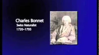 Charles Bonnet Syndrome - The 15 Visual Problems of Macular Degeneration