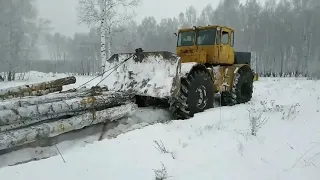 кировец к700 в делянке