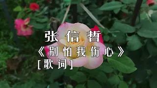 张信哲- 《别怕我伤心》 [歌词]