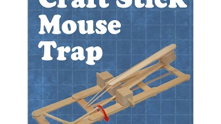 Craft stick mouse trap