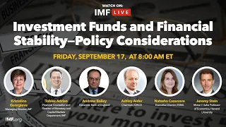 Investment Funds and Financial Stability—Policy Considerations