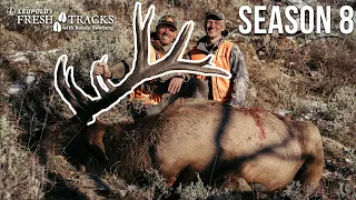 Hunting GENERAL SEASON Bulls | Montana Rifle Elk (Amazon Episode)