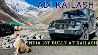 Dharchula to Adi Kailash EP 02 !! India 1st American Bully At ADI KAILASH.