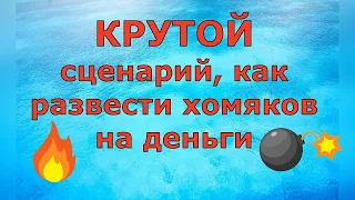 Деревенский дневник очень многодетной мамы  КРУТОЙ сценарий, как развести хомяков!  Обзор влогов