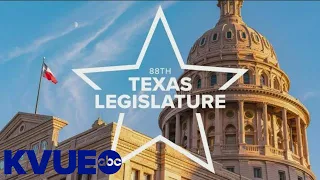 The 88th Texas Legislative Session: Lawmaker files bills concerning LGBTQ-inclusive language | KVUE