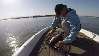 18lb striper on California Delta