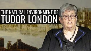 The Natural Environment of Tudor London