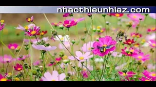 Màu hoa (HINH MINH HOA THEO LOI BAI HAT)