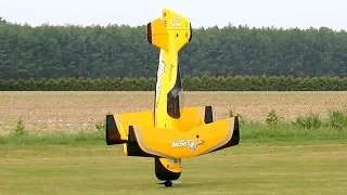 PITTS M-12 PYTHON HUGE RC SCALE MODEL FLIGHT WITH FAILED LANDING / Pitts Meeting Vechta Germany 2016