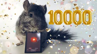 10 000 ПОДПИСЧИКОВ! УРА! СПАСИБО!💕💜✨🎆🎉