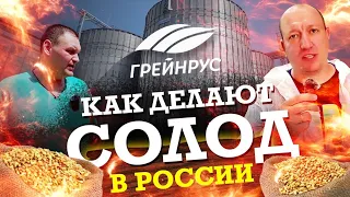 Как делают СОЛОД для пива в России. Завод Курский солод