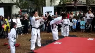 Jackie Chan Martial Arts Demo at Spy Next Door Premier