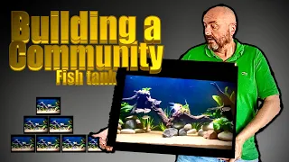 How to start a community aquarium #fishkeeping #tropicalfish #fishtank