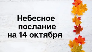 Уникальное послание на 14 октября. Доверьтесь вселенной.