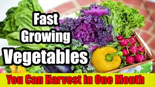 5 Fast growing Vegetables You Can Harvest In One Month