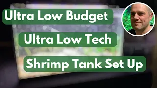 Low Budget, Low Tech Shrimp Tank Set Up - AN EASY WAY TO SET UP AN AQUARIUM FOR BOTH FISH AND SHRIMP