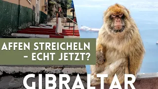 Wir reisen nach Gibraltar - Affeninsel und Einkaufsparadies im Süden Spaniens