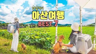 아산 뚜벅이 당일치기 여행코스 Best 7✨아산 가볼만한곳💡국내 애견동반 여행지 추천‼️신정호, 모나무르, 외암민속마을, 지중해마을, 현충사, 은행나무길🍃