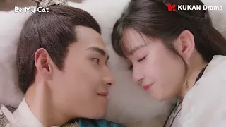 💓Tian Xiwei hot kiss scenes💓 | Be My Cat