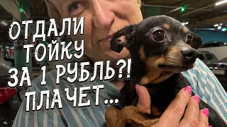 Спасение животных / Приют на колёсах / Поездка в Екатеринбург / Часть 2