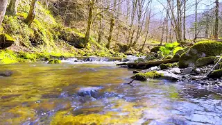 4k HDR Calming river flowing in spring ambiance. Relaxing  river sound.