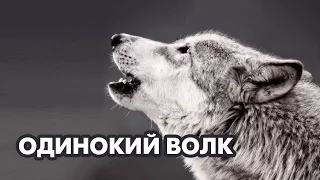 Одинокий волк - Виктор Корженевский