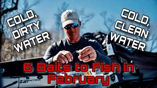 Top 6 Baits for February