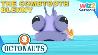 ​@Octonauts - The Combtooth Blenny 🐟 | Series 1 | Full Episode 27 | @WizzCartoons