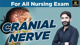 CRANIAL  NERVE | Important Short Topic | For All Nursing Exam | By Raju Sir