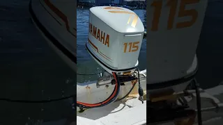 yamaha 115hp 2stroke warming up