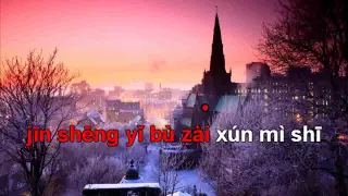 Là tự em đa tình karaoke beat 是我在做多情种伴奏